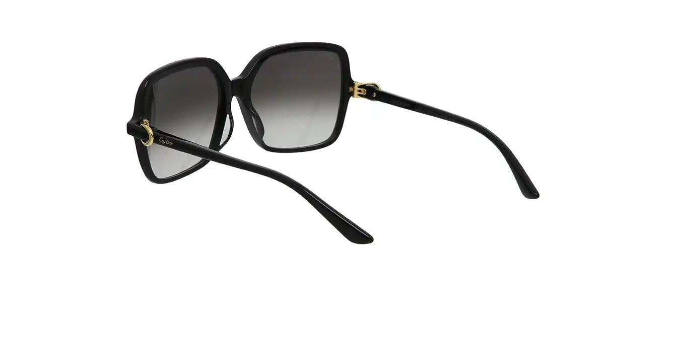 Cartier CT0219SA 001 s58