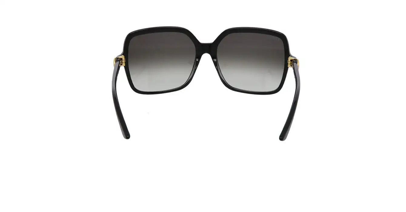 Cartier CT0219SA 001 s58