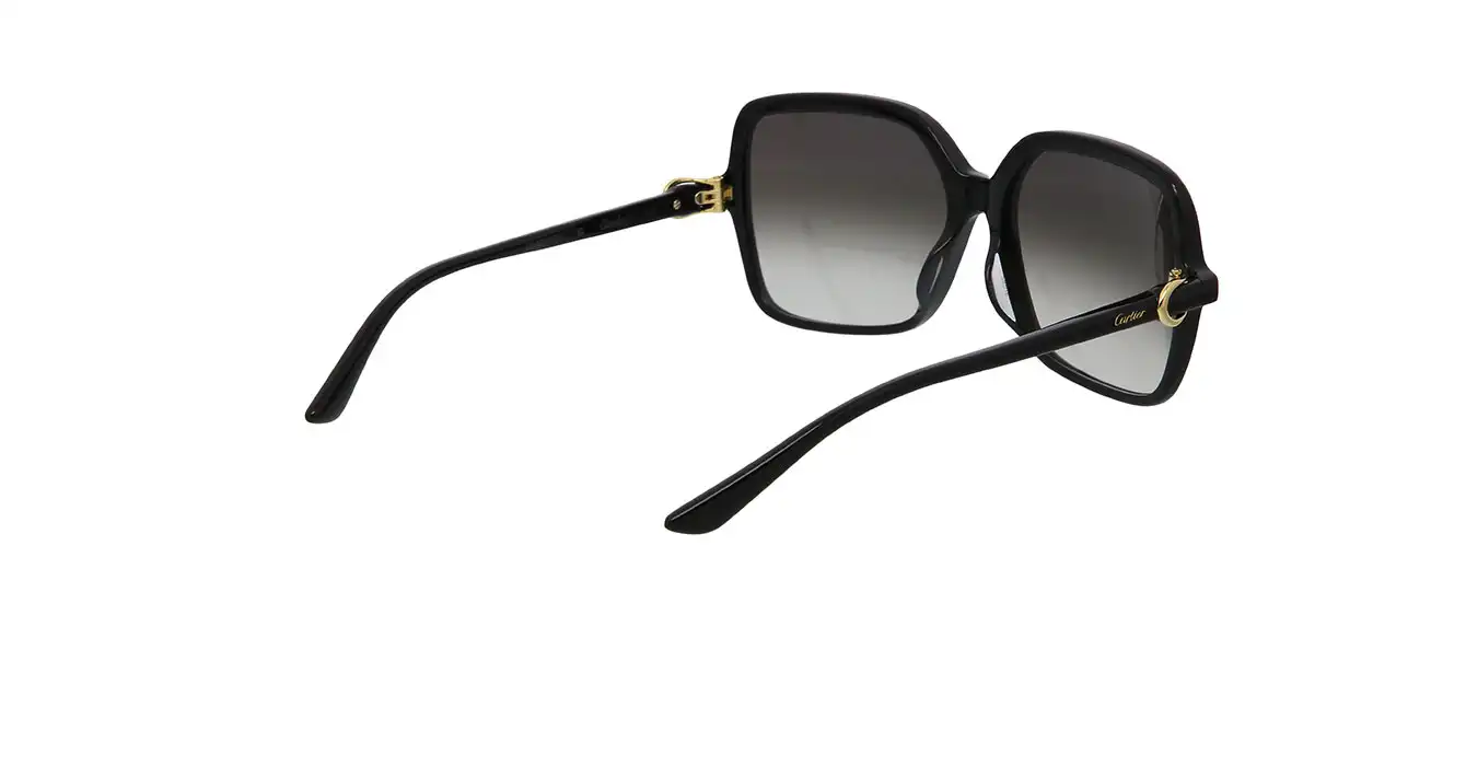 Cartier CT0219SA 001 s58