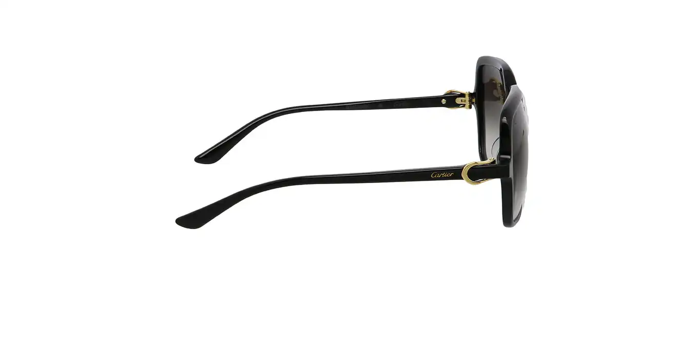 Cartier CT0219SA 001 s58