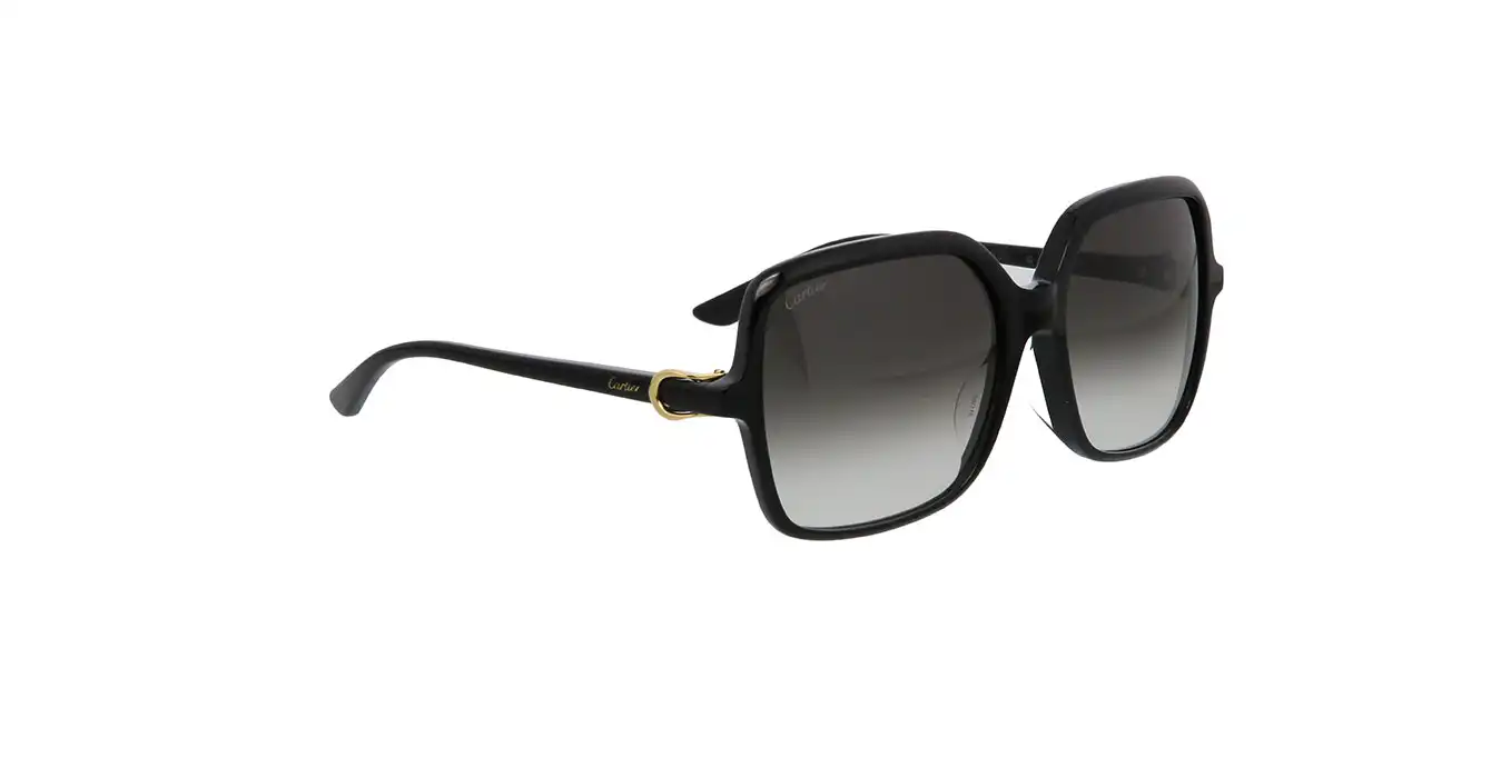 Cartier CT0219SA 001 s58