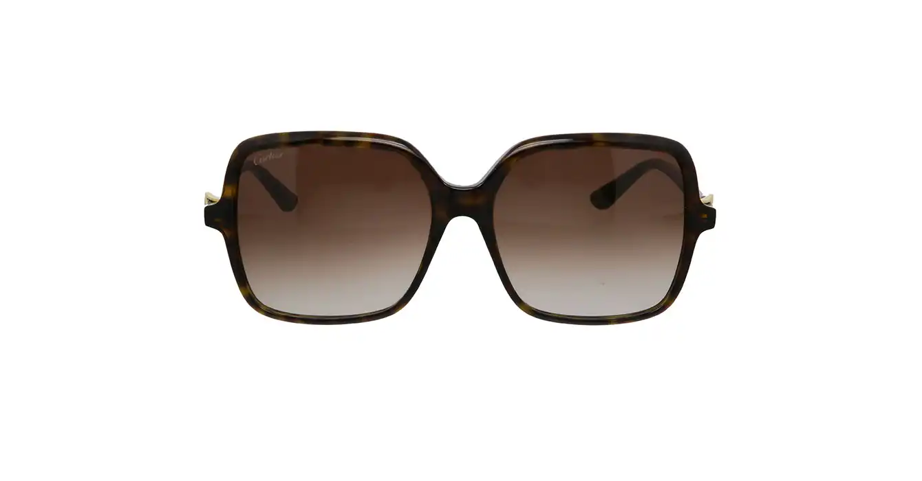 Cartier CT0219SA 002 s58