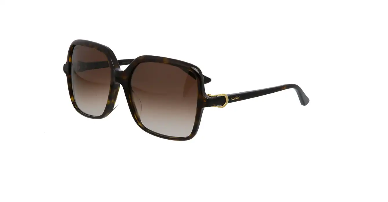 Cartier CT0219SA 002 s58