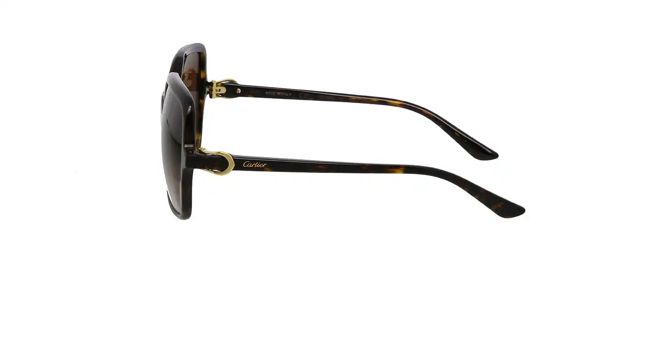 Cartier CT0219SA 002 s58