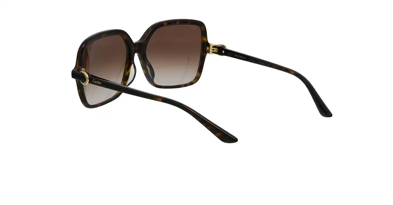 Cartier CT0219SA 002 s58