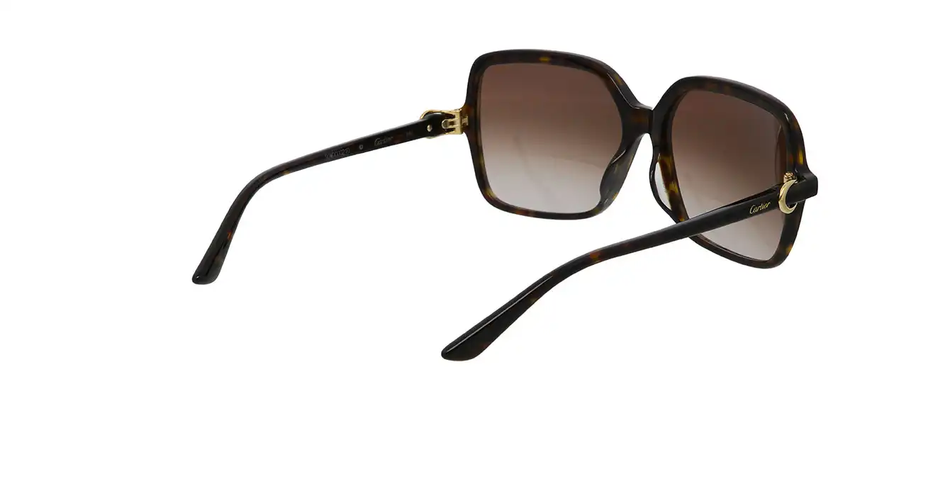 Cartier CT0219SA 002 s58