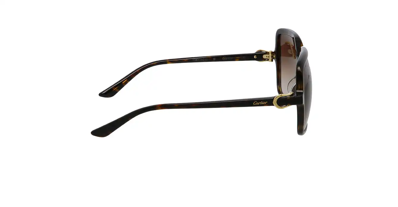 Cartier CT0219SA 002 s58