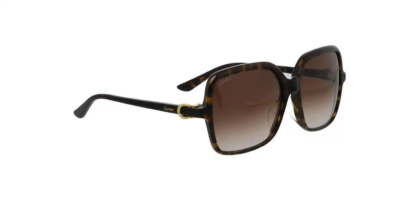 Cartier CT0219SA 002 s58