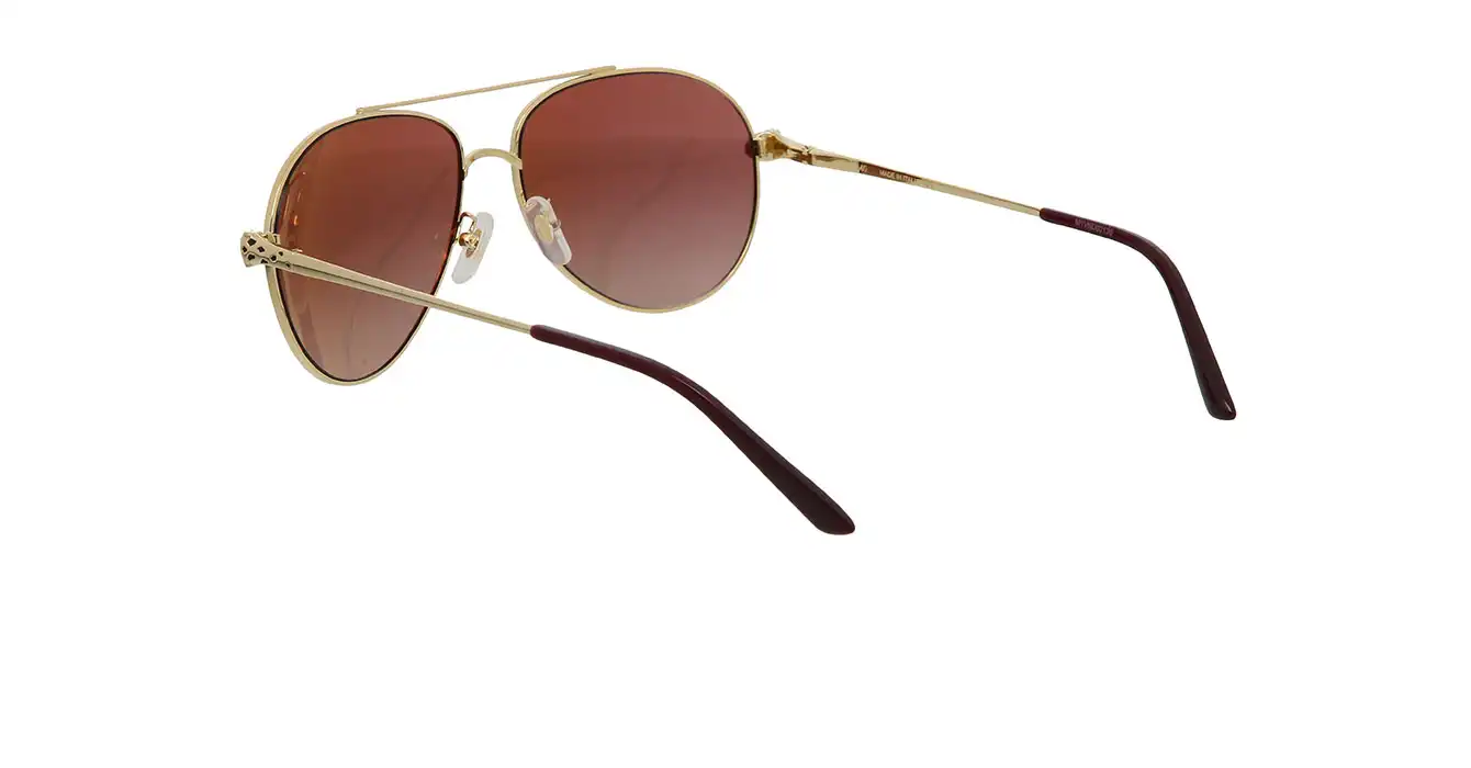 Cartier CT0233S 003 s61