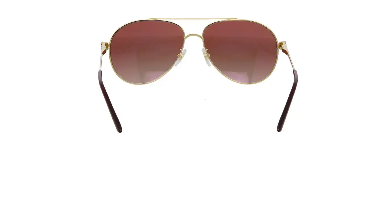 Cartier CT0233S 003 s61