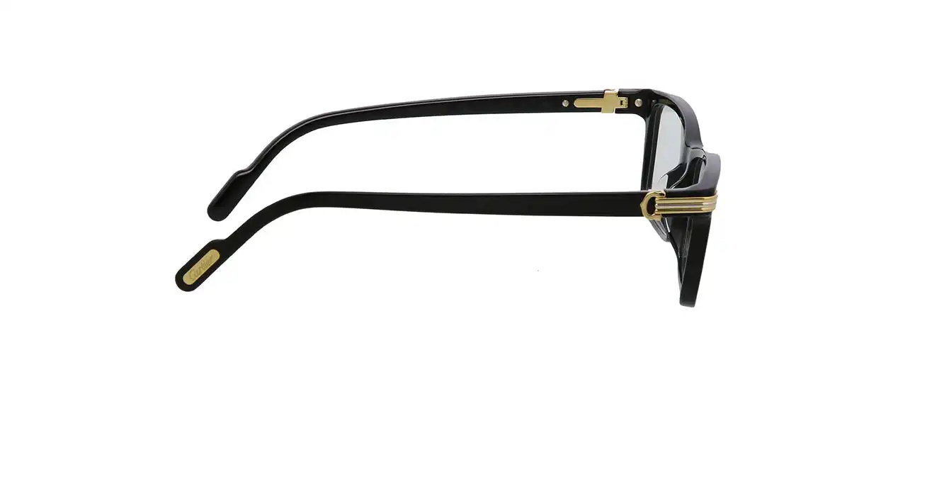 Cartier CT0222OA 004 s56