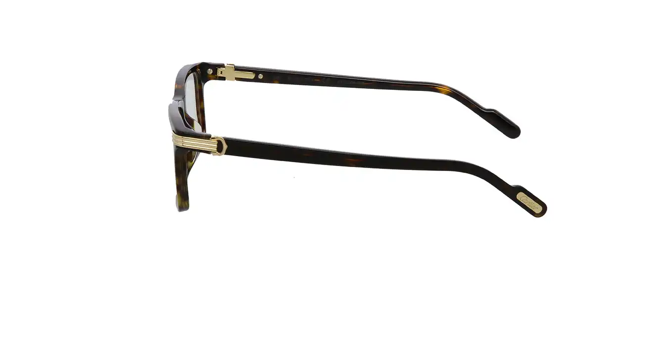 Cartier CT0222OA 005 s56