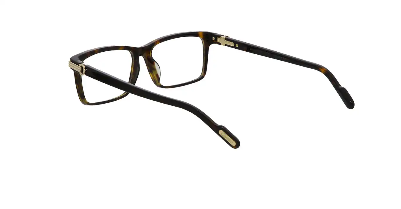 Cartier CT0222OA 005 s56