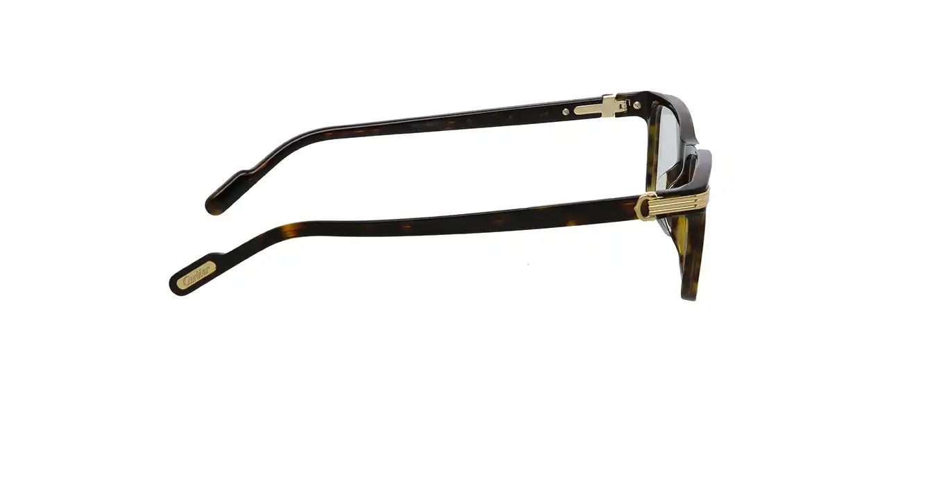 Cartier CT0222OA 005 s56
