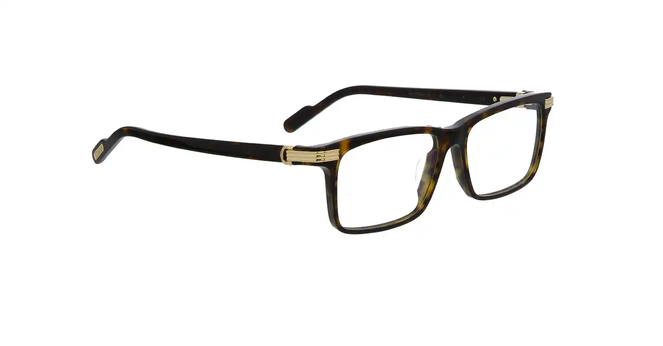 Cartier CT0222OA 005 s56
