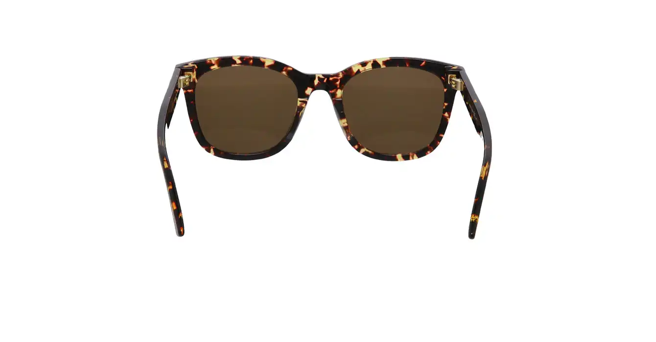 Bottega Veneta BV1080SK 002 s54