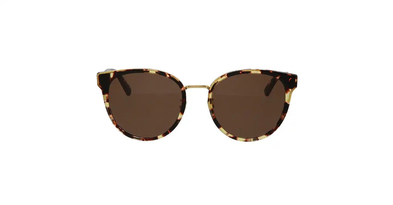 Bottega Veneta BV1081SK 002 s55