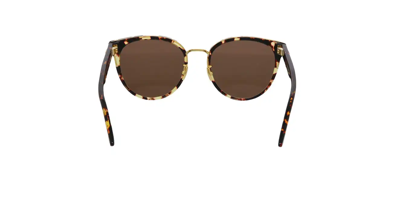Bottega Veneta BV1081SK 002 s55