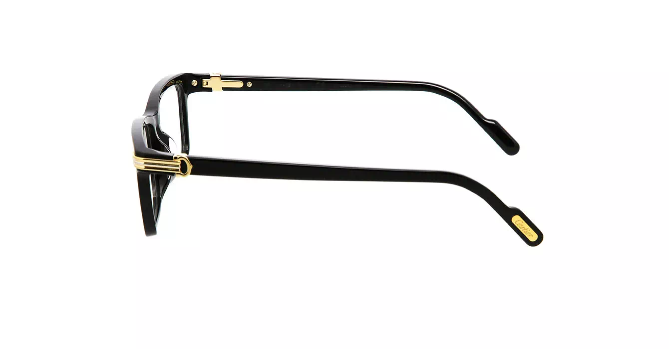Cartier CT0222OA 001 s54