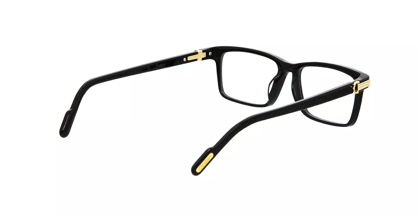 Cartier CT0222OA 001 s54