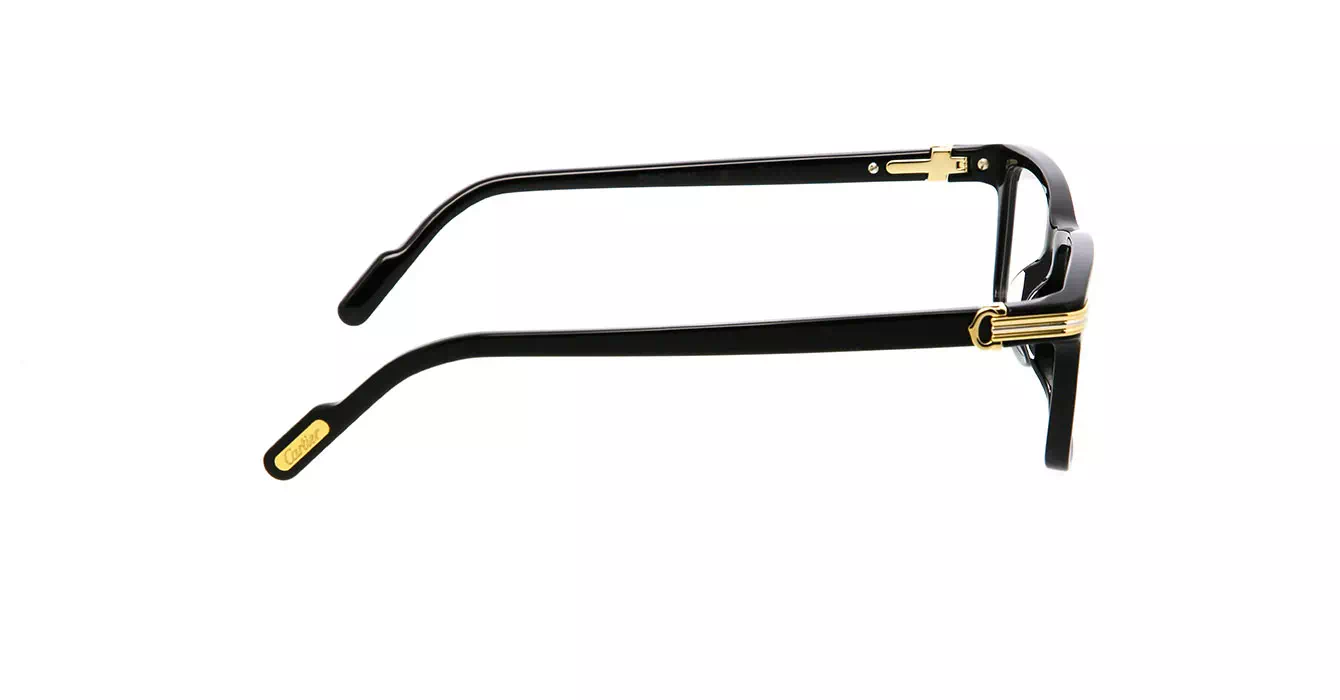 Cartier CT0222OA 001 s54