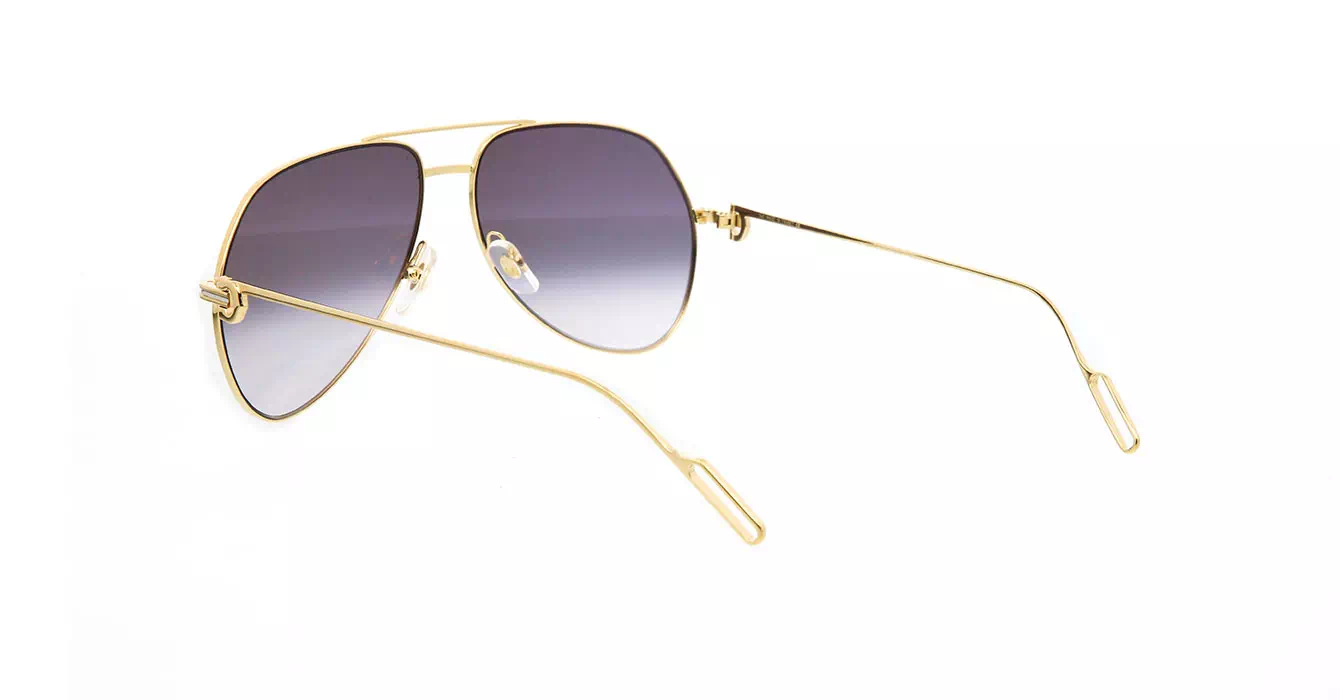 Cartier CT0110S 015 s58