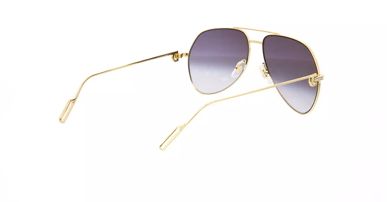 Cartier CT0110S 015 s58