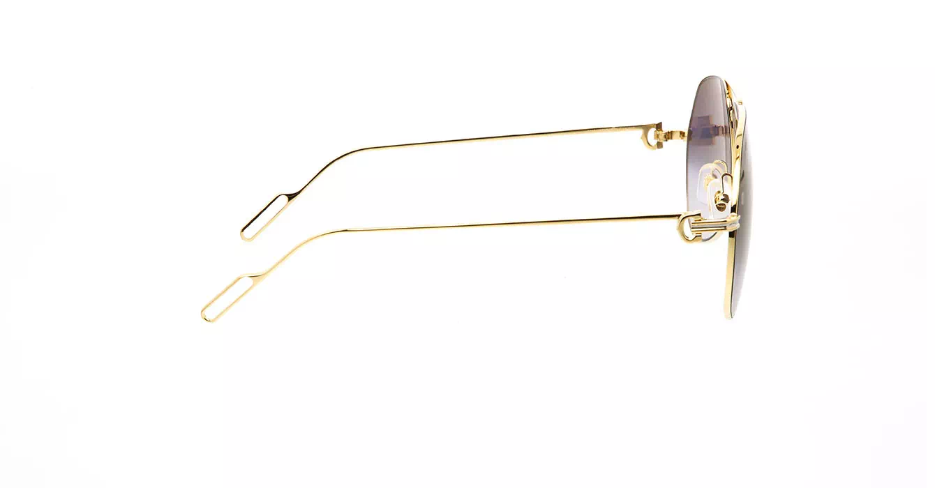 Cartier CT0110S 015 s58