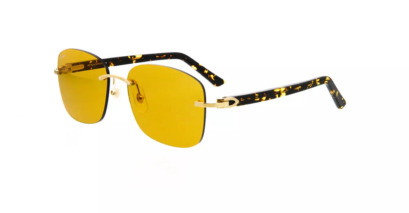 Cartier CT0227S 004 s58