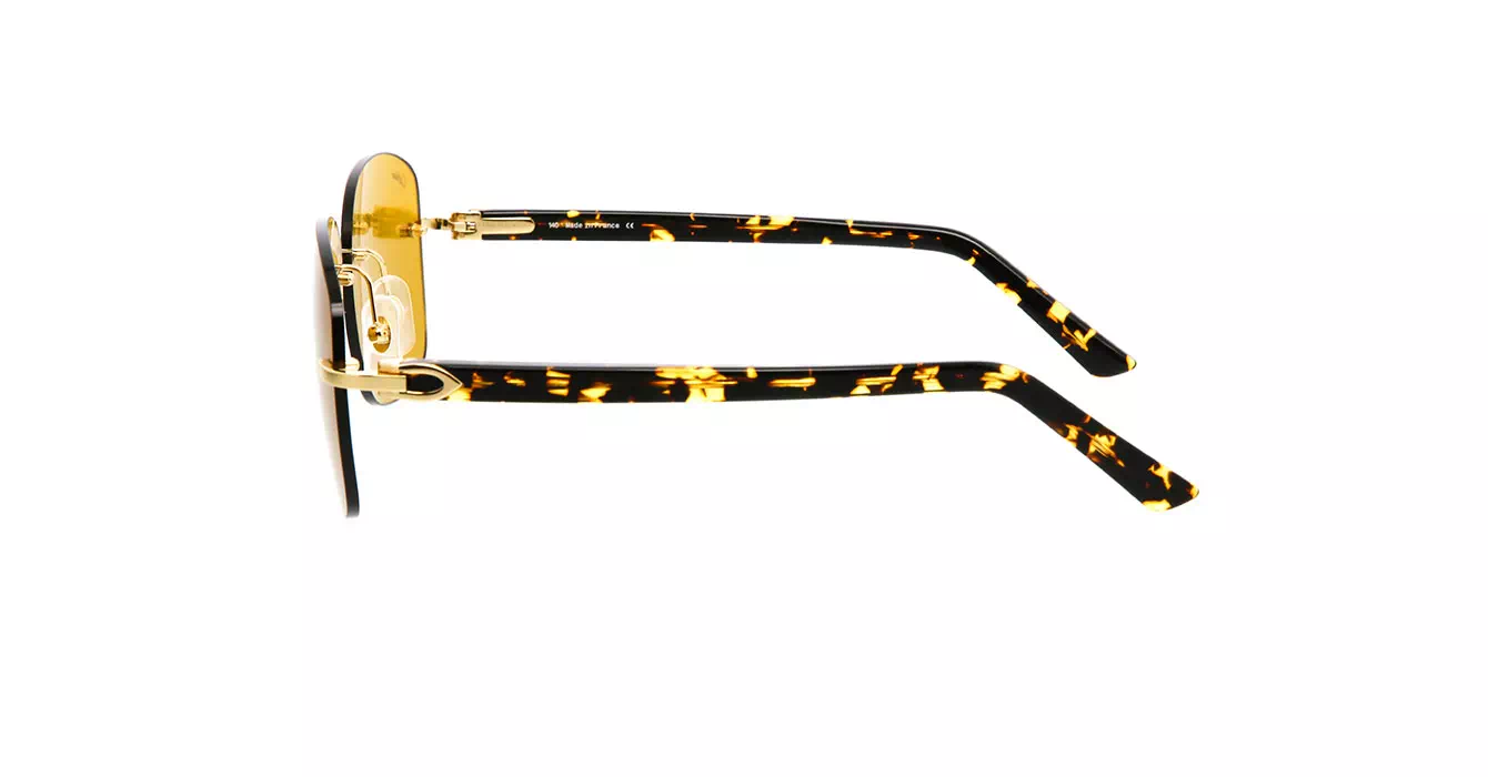 Cartier CT0227S 004 s58