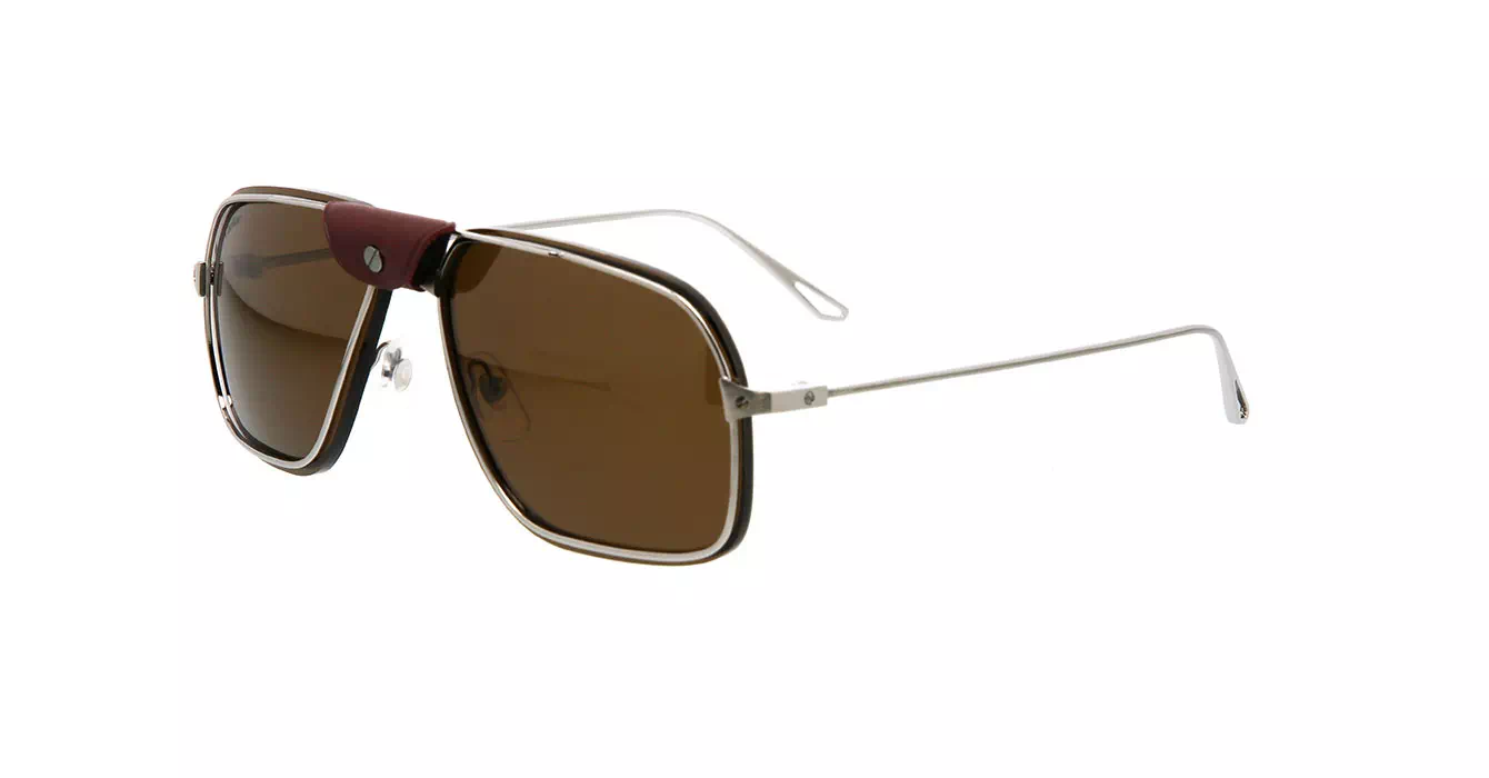 Cartier CT0243S 004 s62