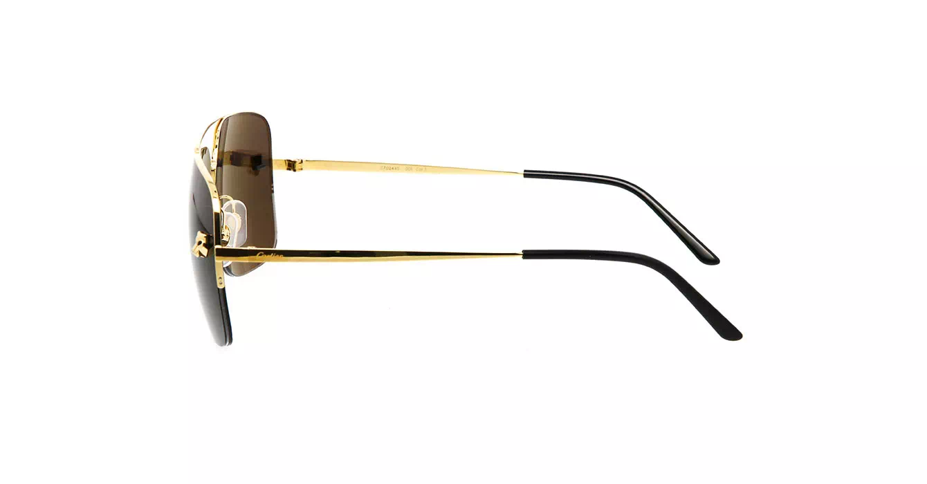 Cartier CT0244S 001 s59