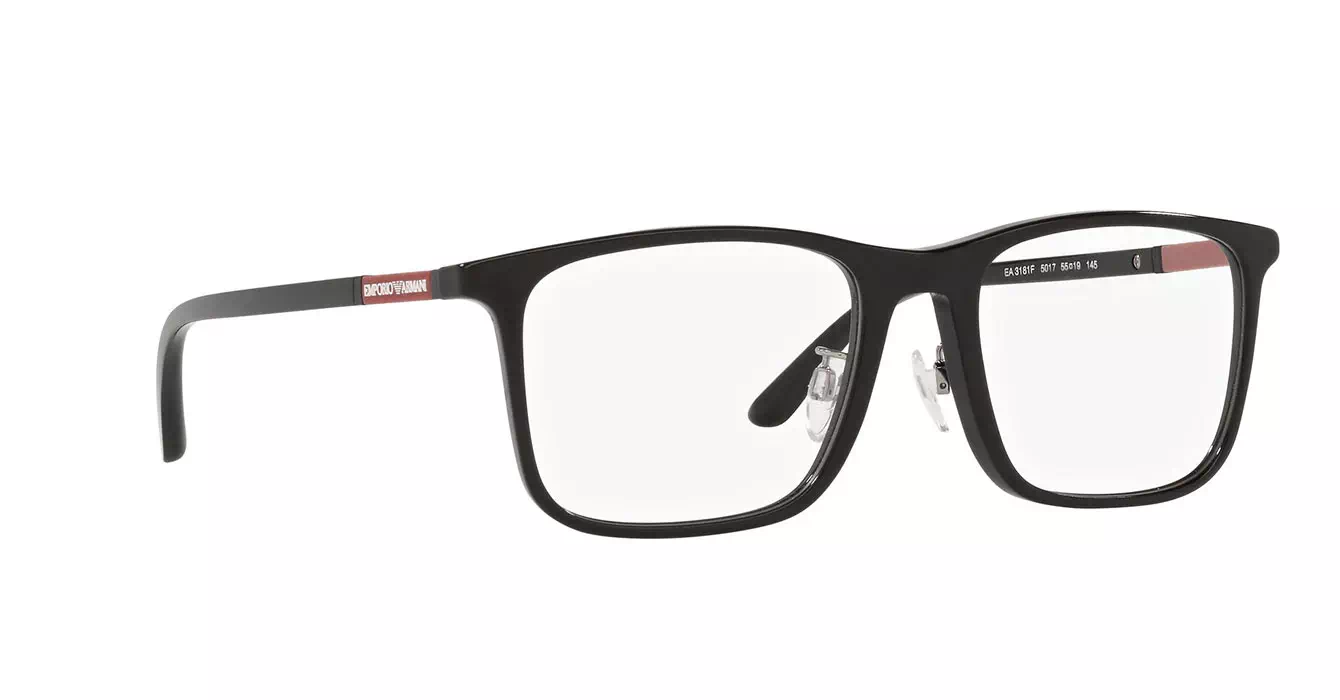 Emporio Armani EA3181F 5017 s55