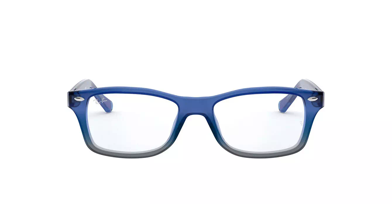 Ray-Ban RB1531 3647 s48