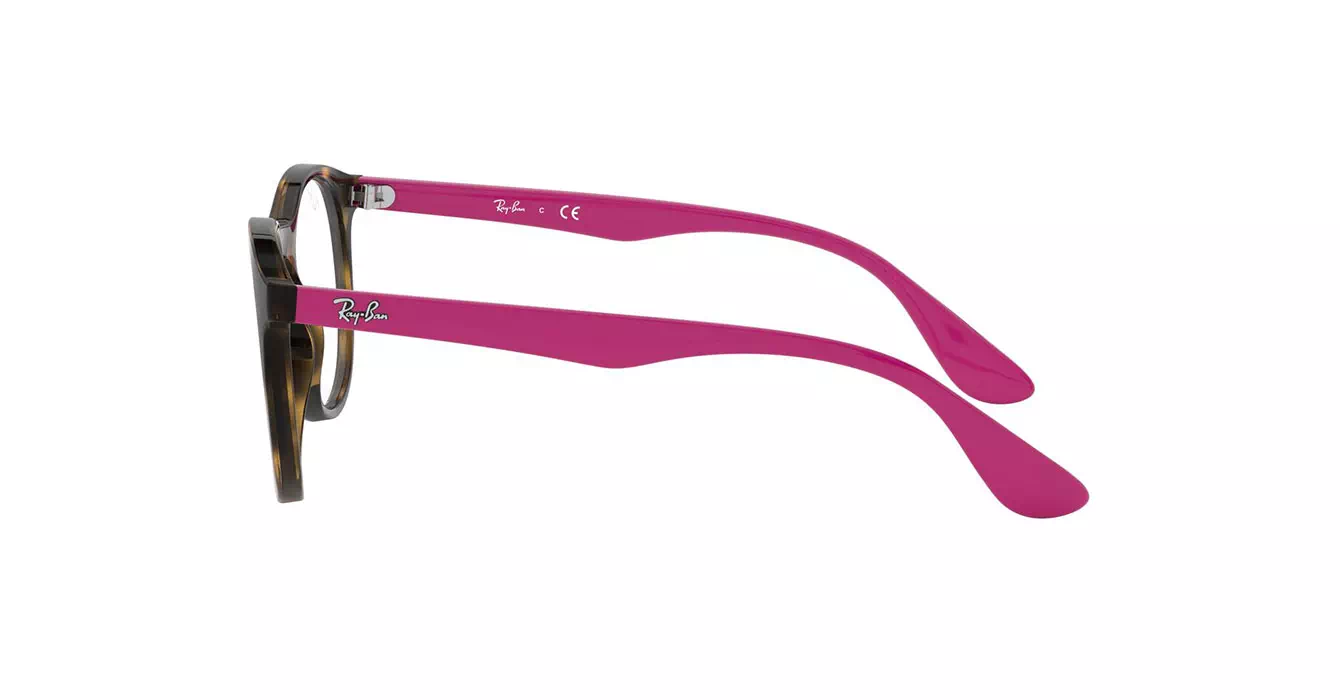 Ray-Ban RB1554 3729 s48