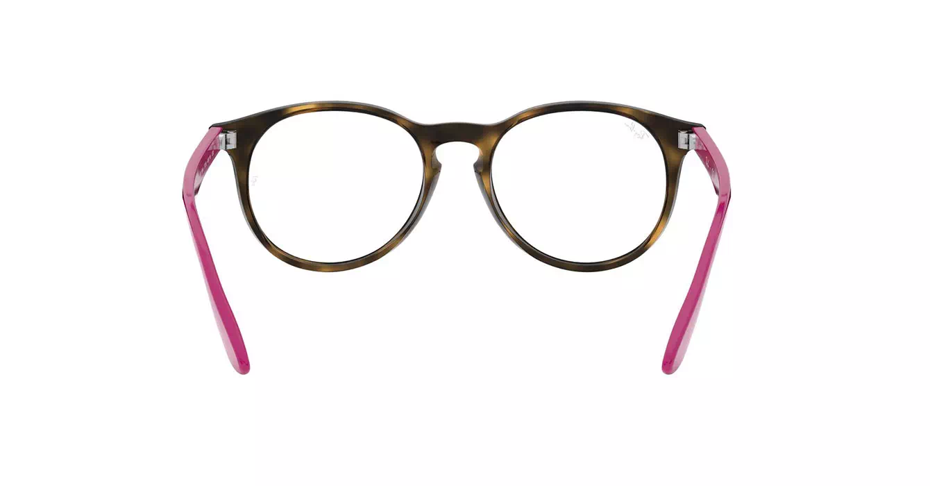Ray-Ban RB1554 3729 s48