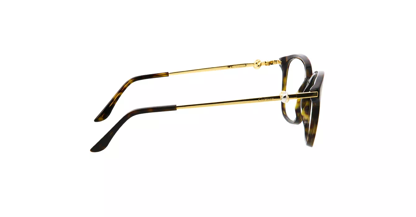 Cartier CT0258O 002 s54