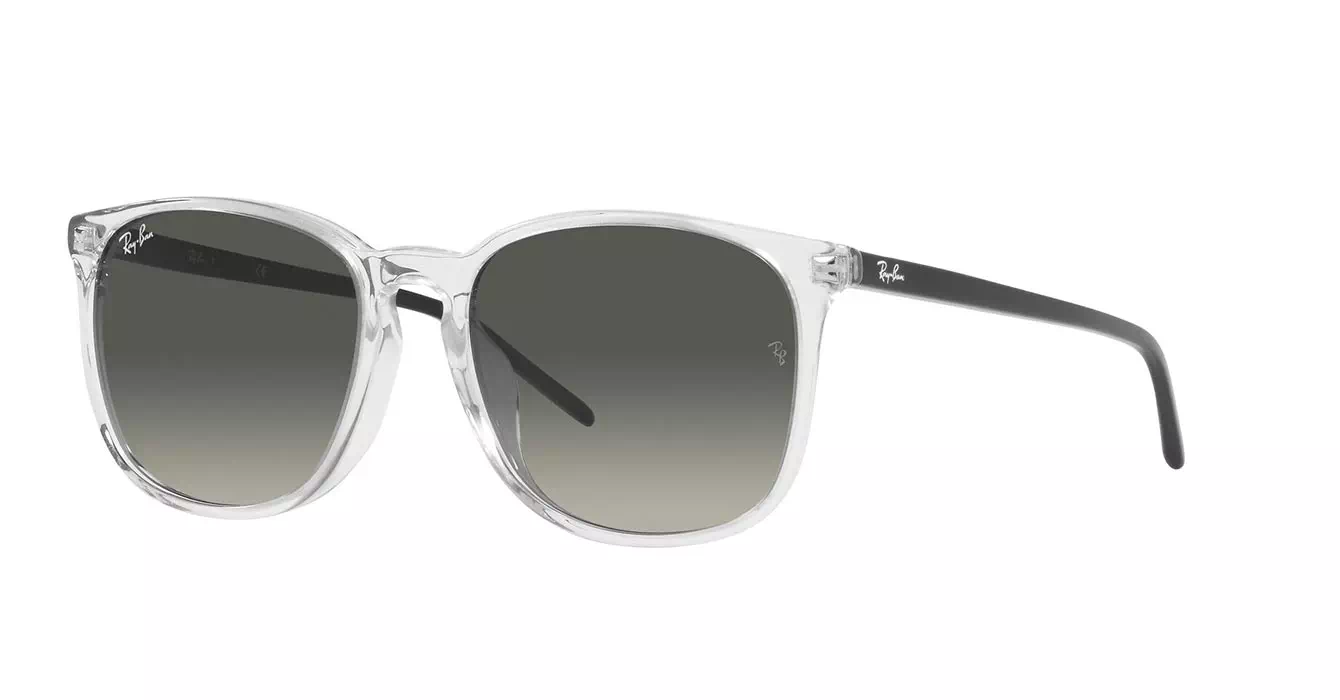 Ray-Ban RB4387F 1349/11 s55
