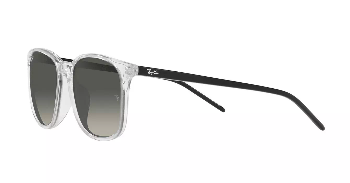 Ray-Ban RB4387F 1349/11 s55