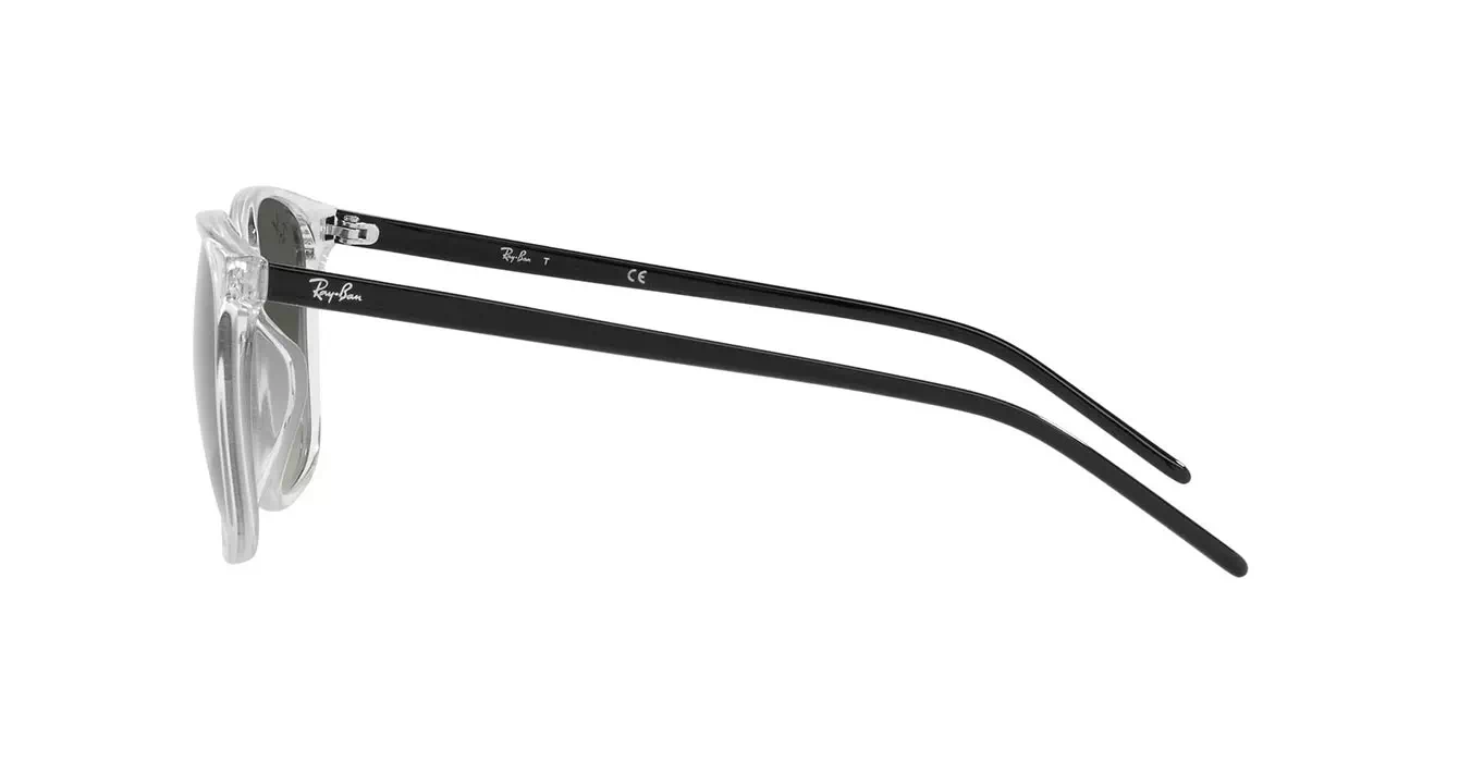 Ray-Ban RB4387F 1349/11 s55