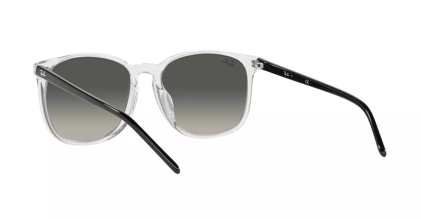 Ray-Ban RB4387F 1349/11 s55