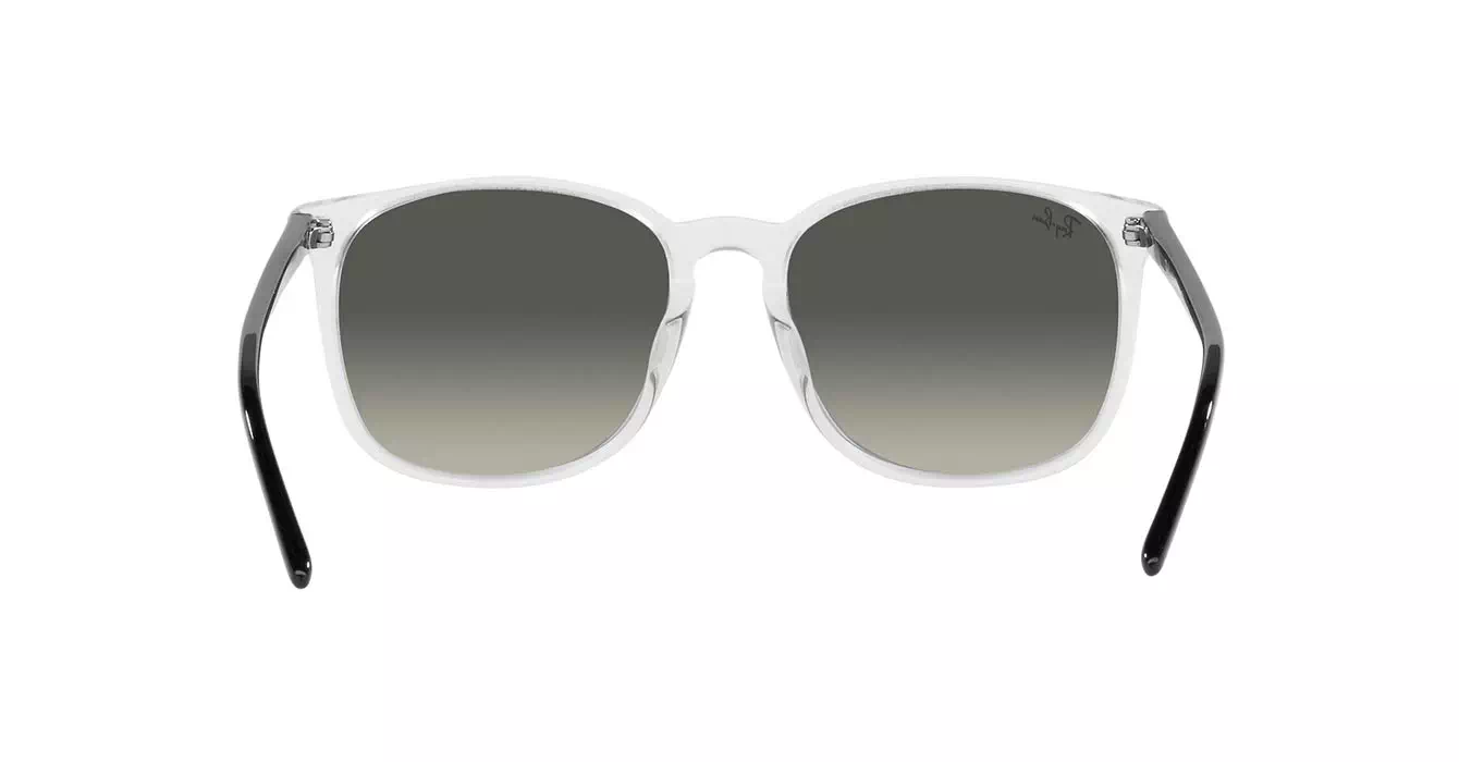 Ray-Ban RB4387F 1349/11 s55