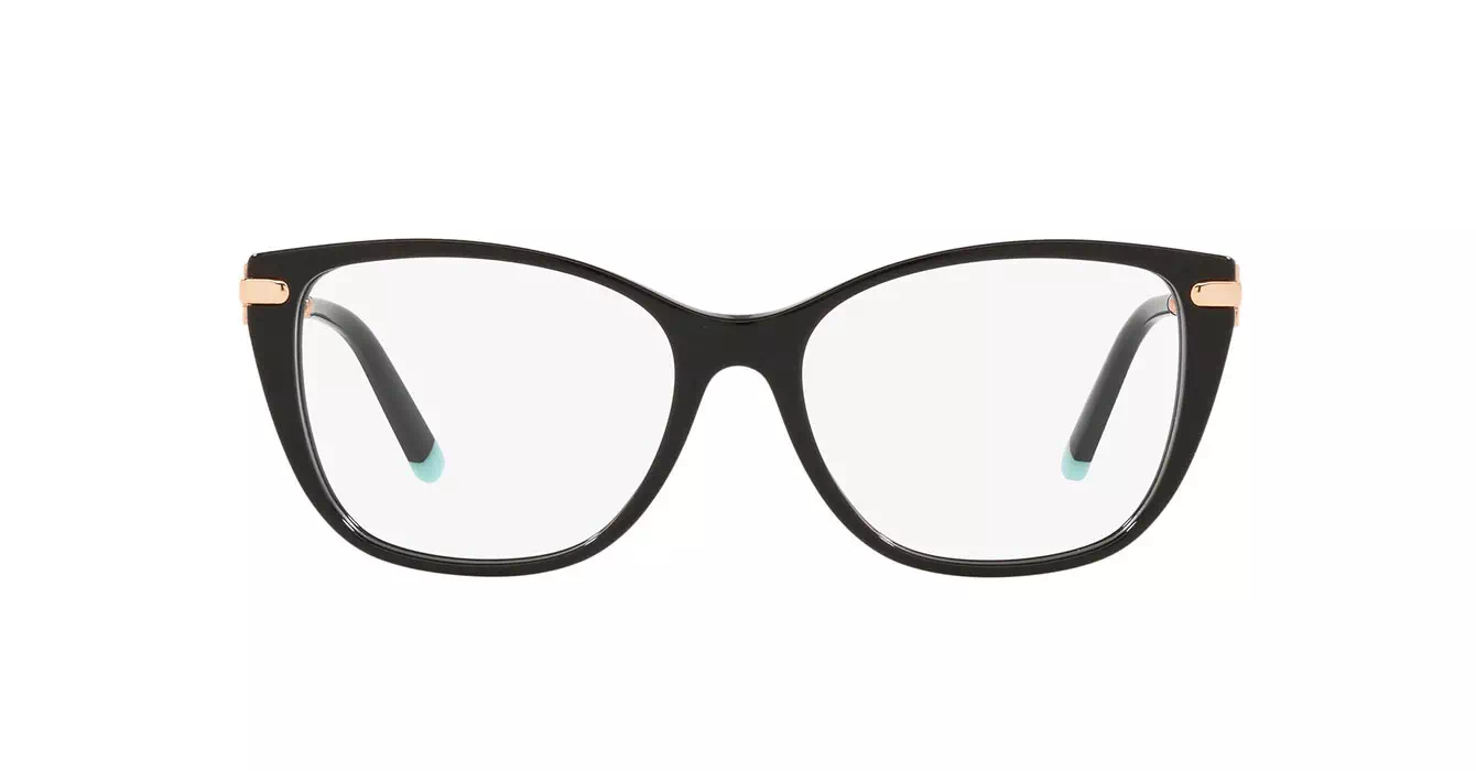 Tiffany&Co TF2216-F 8001 s54