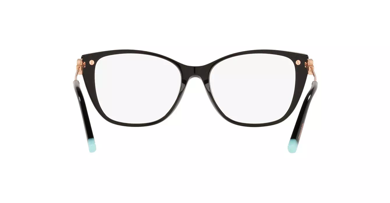 Tiffany&Co TF2216-F 8001 s54