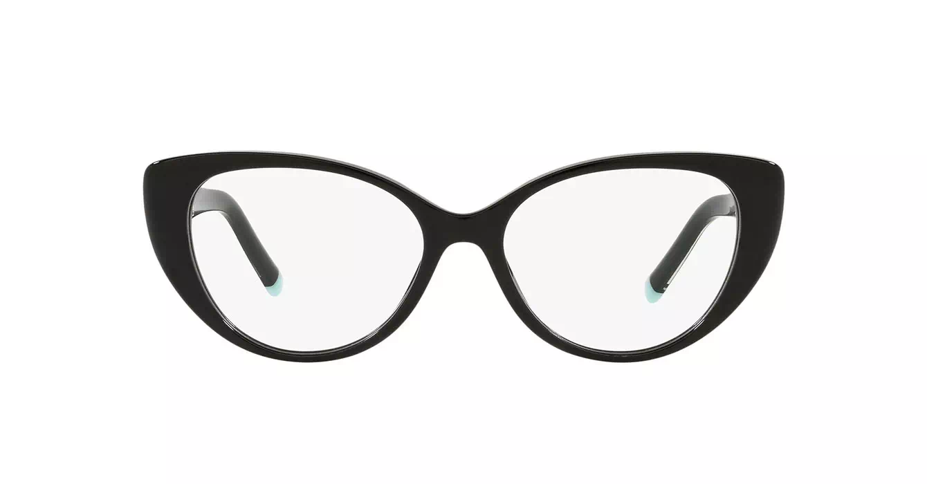 Tiffany&Co TF2213-F 8001 s53