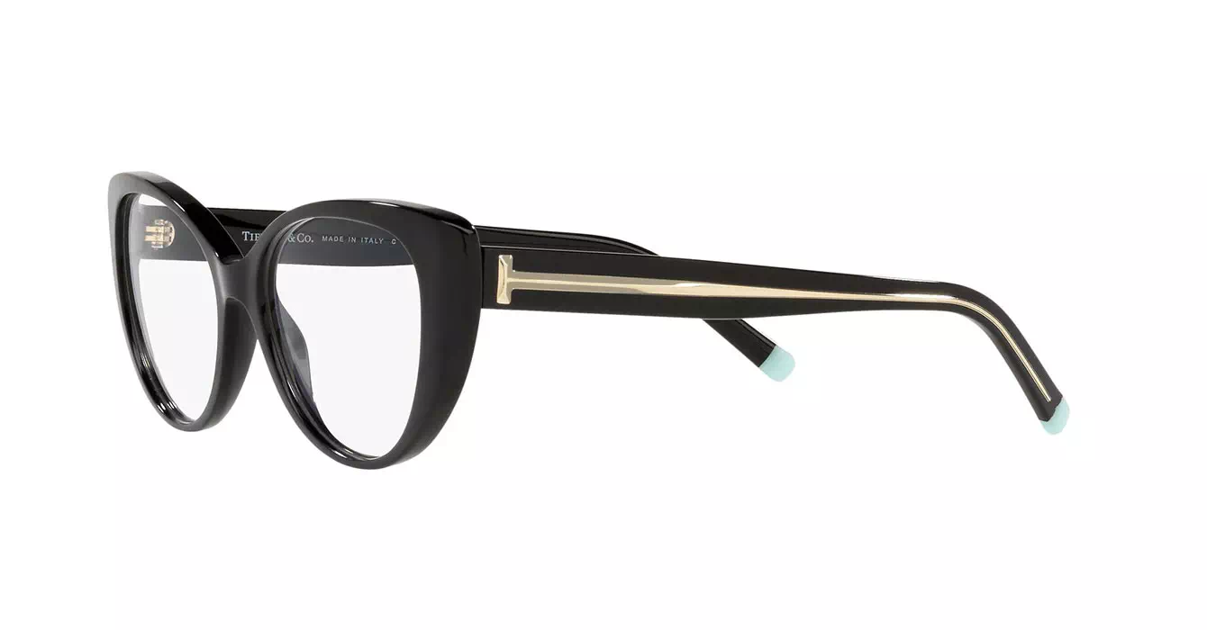 Tiffany&Co TF2213-F 8001 s53