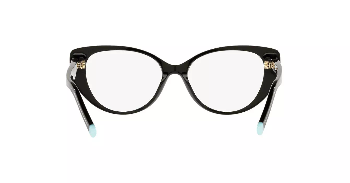 Tiffany&Co TF2213-F 8001 s53