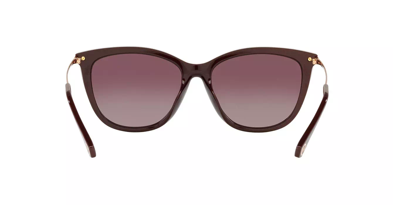 Michael Kors MK2150U 3344/6X s56