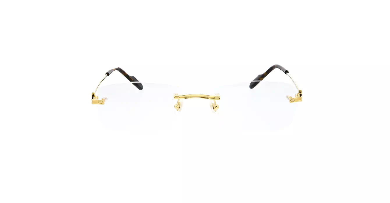 Cartier CT0259O 004 s57