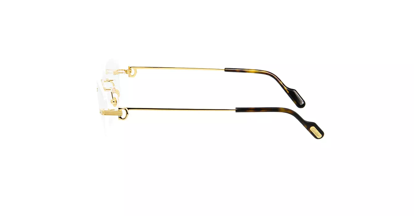 Cartier CT0259O 004 s57
